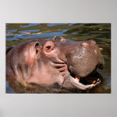 Happy Hippo Poster (Vorne)