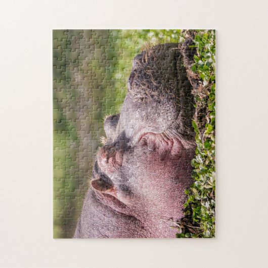 Happy Hippo Puzzle (Vertikal)