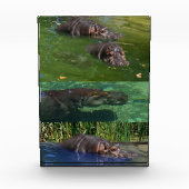 Happy Hippos in einem Teich, Foto Block (Vorderseite)