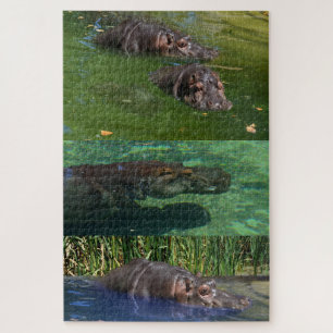 Happy Hippos in einem Teich, Puzzle