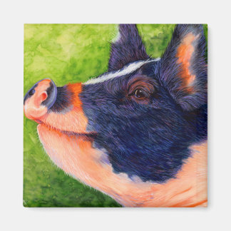 Happy Hog - Pig Magnet