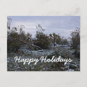 Happy Holidays aus der Wüste Feiertagspostkarte