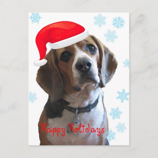 Happy Holidays Beagle Feiertagspostkarte (Vorderseite)