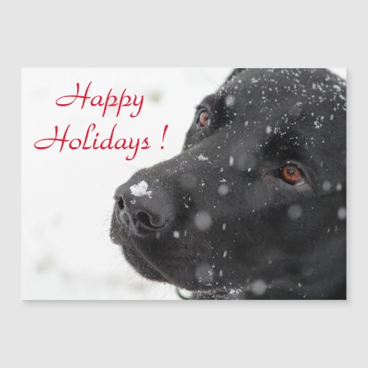 Happy Holidays Black Lab Magnetkarte (Vorderseite)
