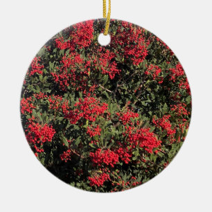 Happy Holidays: California Holly Keramik Ornament