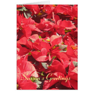 Happy Holidays_ Card