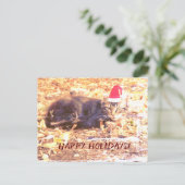 Happy Holidays Cat Foto Postkarte (Stehend Vorderseite)