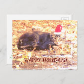Happy Holidays Cat Foto Postkarte (Vorne/Hinten)