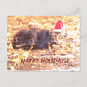 Happy Holidays Cat Foto Postkarte