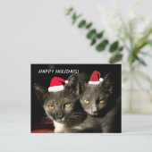 Happy Holidays Cats Postkarte (Stehend Vorderseite)