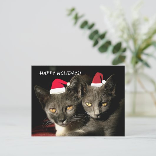Happy Holidays Cats Postkarte (Stehend Vorderseite)