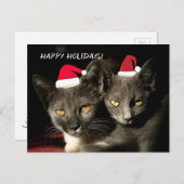 Happy Holidays Cats Postkarte (Vorne/Hinten)