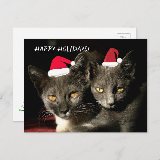 Happy Holidays Cats Postkarte (Vorne/Hinten)