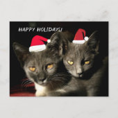 Happy Holidays Cats Postkarte (Vorderseite)