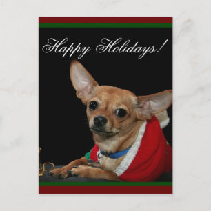 Happy Holidays Chihuahua Feiertagspostkarte