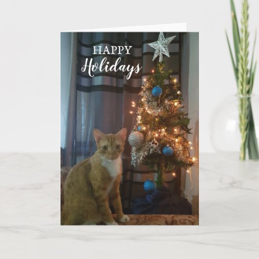 Happy Holidays Christmas card by Cheeto Dacutecat. Karte (Vorderseite)