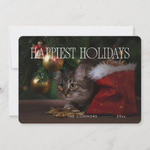 Happy Holidays Christmas Whisker Cat Niedlich Feiertagskarte
