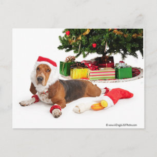 Happy Holidays/Dezember Feiertagspostkarte