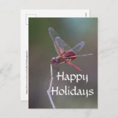 Happy Holidays Dragonfly Feiertagspostkarte (Vorne/Hinten)