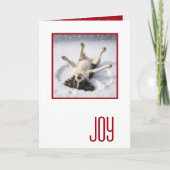 Happy Holidays English Spring Spaniel Karte (Vorderseite)