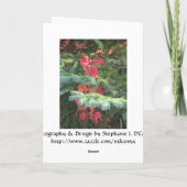 Happy Holidays Feiertagskarte (Rückseite)