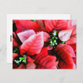 Happy Holidays_ Feiertagskarte (Vorne/Hinten)