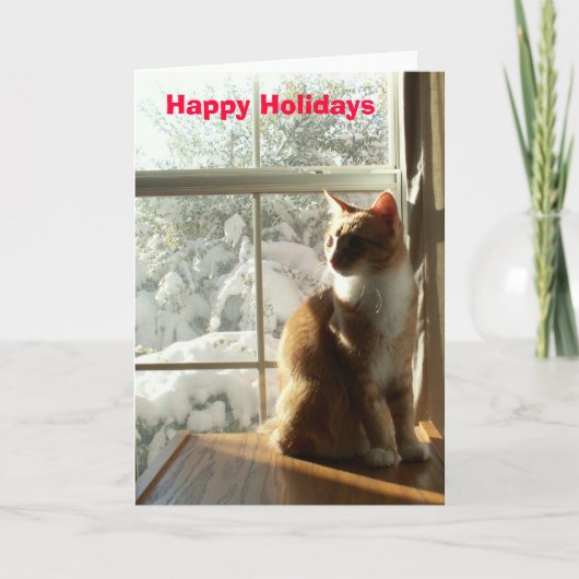 Happy Holidays Feiertagskarte (Vorderseite)