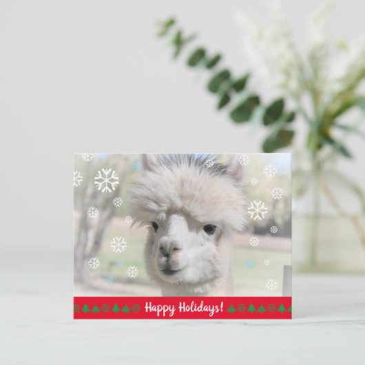 Happy Holidays from Snow Alpaca Postkarte (Stehend Vorderseite)
