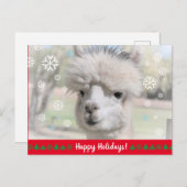 Happy Holidays from Snow Alpaca Postkarte (Vorne/Hinten)