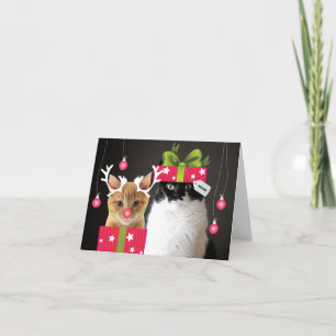 Happy Holidays from Waffles & Katie Feiertagskarte