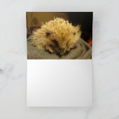 HAPPY HOLIDAYS "Hedgehog" Feiertagskarte (Innenseite)