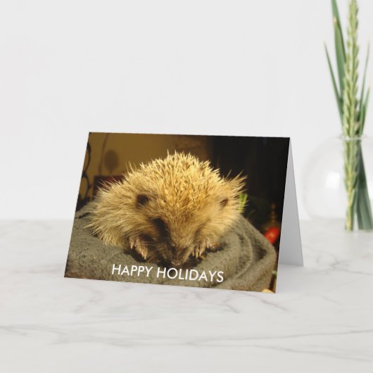 HAPPY HOLIDAYS "Hedgehog" Feiertagskarte (Vorderseite)