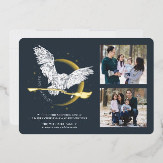 Happy Holidays Hedwig Delivery | Familienfotokarte Folien Feiertagskarte