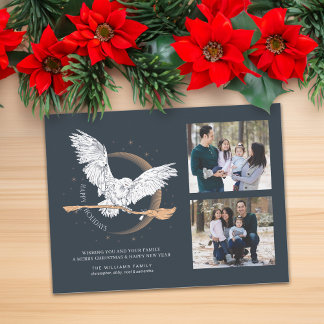 Happy Holidays Hedwig Delivery | FOTO Feiertagspostkarte