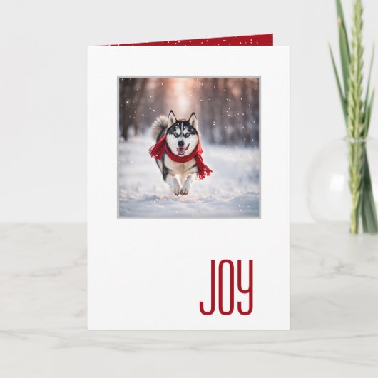Happy Holidays Husky With a Red Scarf Karte (Vorderseite)