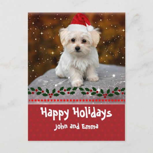 Happy Holidays, Maltese Puppy, Feiertagspostkarte (Vorderseite)