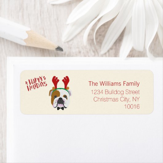 Happy Holidays - Niedlicher englischer Bulldog - W (Insitu)