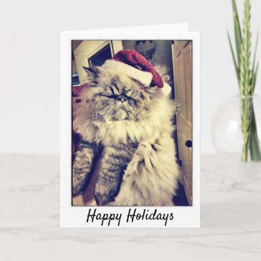 Happy Holidays - Persische Katze Feiertagskarte (Vorderseite)
