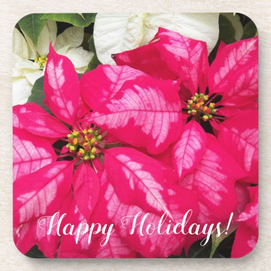 Happy Holidays Pink Poinsettias Floral Getränkeuntersetzer (Vorderseite)