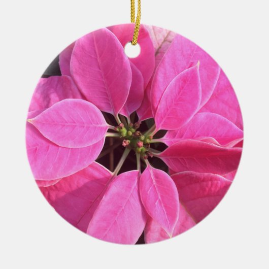 Happy Holidays Poinsettia Keramik Ornament (Vorne)