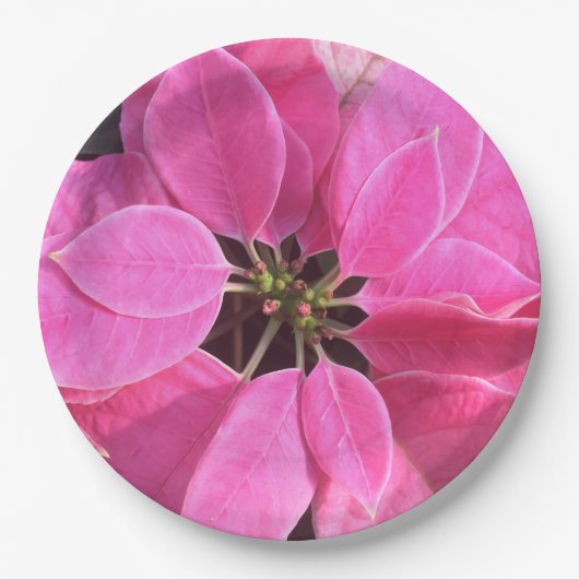 Happy Holidays Poinsettia Pappteller (Vorderseite)