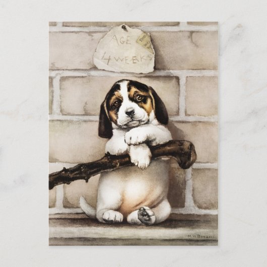 Happy Holidays Postkarte (Vorderseite)