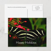 Happy Holidays, Zebra Longwing Feiertagspostkarte (Vorne/Hinten)