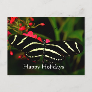 Happy Holidays, Zebra Longwing Feiertagspostkarte