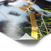 Happy Hoppy Fotodruck (Ecke)