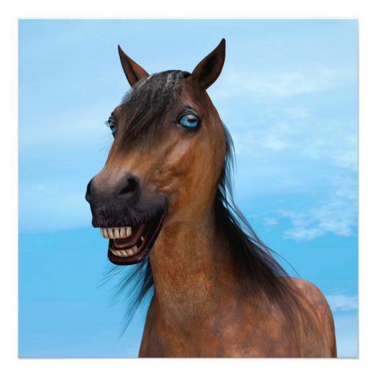 Happy Horse Fotodruck (Vorne)