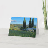 Happy Horse Karte (Vorderseite)