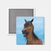 Happy Horse Magnet (Vorderseite/Rückseite)