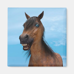 Happy Horse Magnet