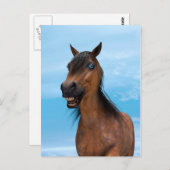 Happy Horse Postkarte (Vorne/Hinten)